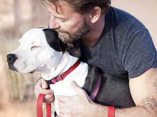 Homme câlinant un chien