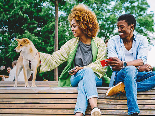 Couple assis sur un banc avec leur chien