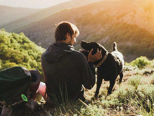 Homme randonnant avec son chien dans les collines