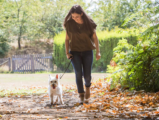 Femme promenant un chien à l'extérieur