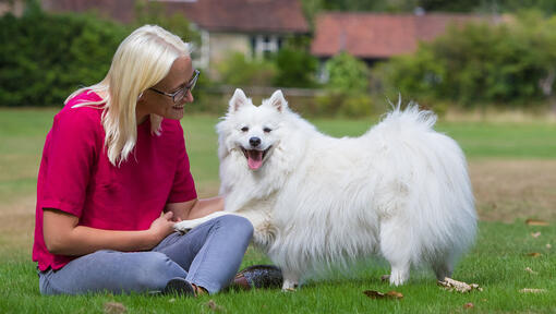 Frau sitzt draussen mit Hund