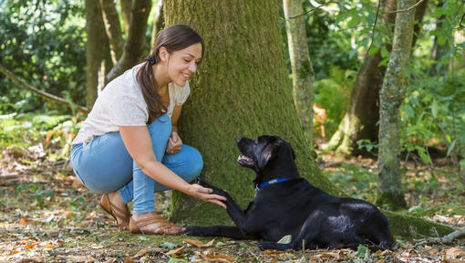 Frau hockt mit Hund in der Nähe eines Baumes
