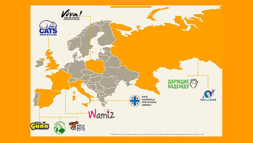 Carte européenne des associations d'adoption