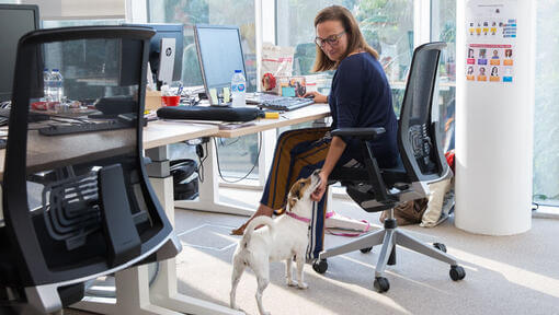 Vrouw aan bureau strelende kin van Jack Russell