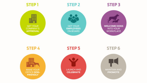 6 étapes pour les animaux de compagnie au travail Infographie alliance