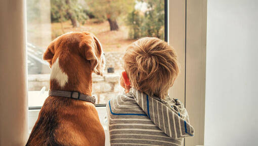 Kind, das mit Hund aus einem Fenster schaut