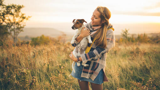 Frau hält Jack Russell in einem Feld