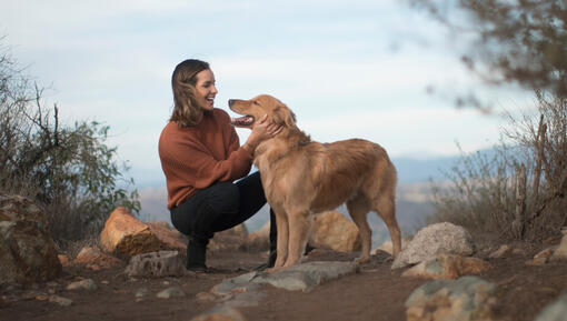 Golden Retriever avec propriétaire