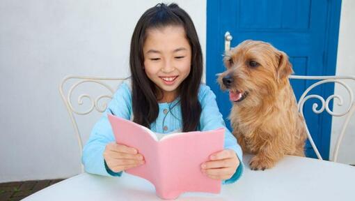 Norfolk Terrier sitzt neben Mädchen