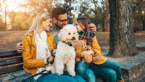 Caniche assis avec sa famille