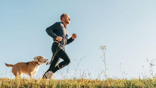 Mann und Hund laufen querfeldein