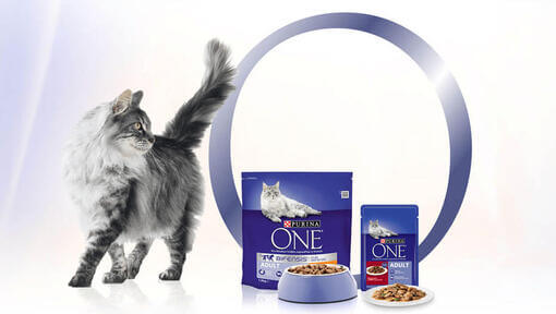 innovation Purina One