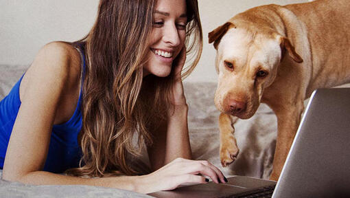 Mädchen, das mit ihrem Hund auf einen Laptop schaut
