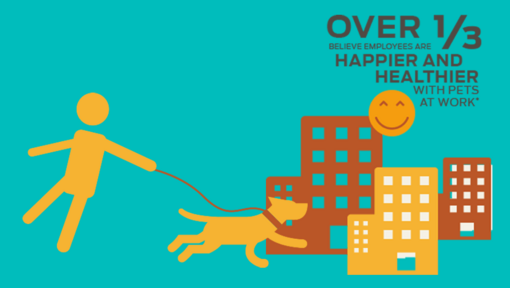 Plus d'un tiers pensent que les employés sont plus heureux et en meilleure santé avec des animaux de compagnie au travail