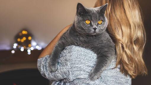 Femme tenant son animal de compagnie - Chat British Shorthair