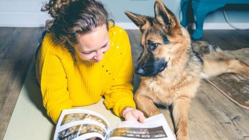 Deutscher Schäferhund-Welpe mit Besitzer