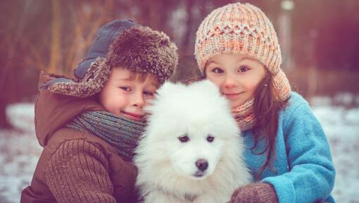 Japan-Spitz mit zwei Kindern