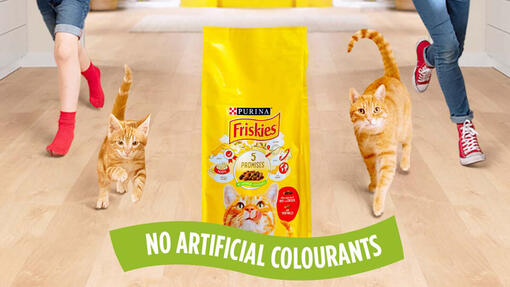 Friskies Nourriture pour chat