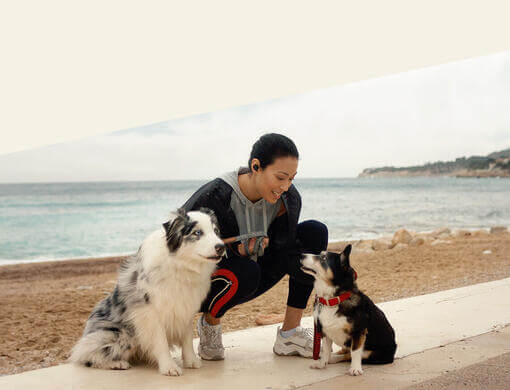 Femme avec deux chiens sur la plage