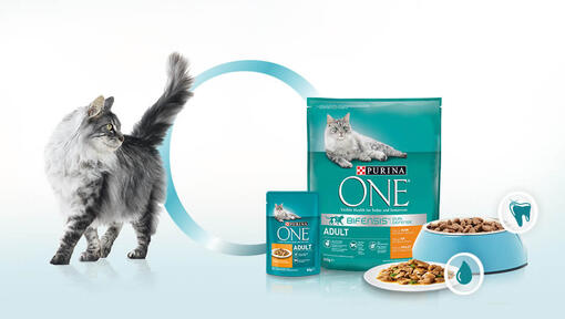 Purina One