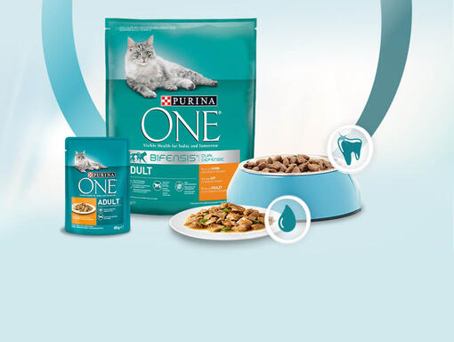 Le bon mix pour votre chat