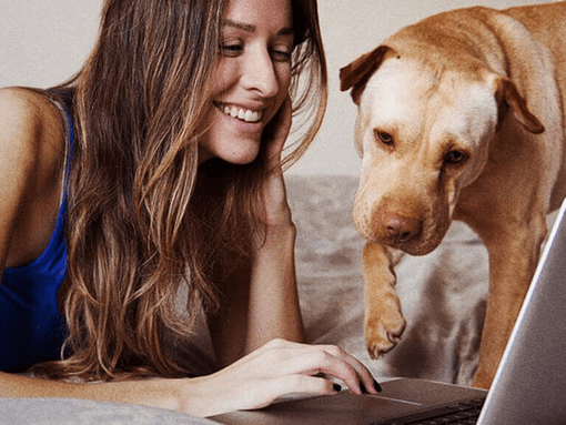 Eine Frau schaut mit ihrem Hund auf einen Laptop