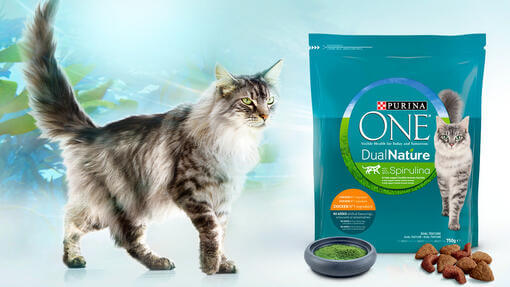 Purina One