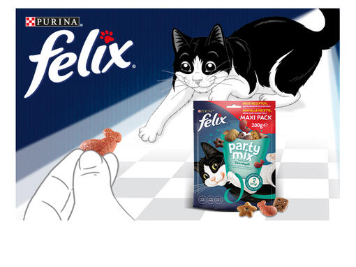 FELIX® Party Mix​