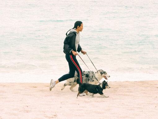 Mädchen, das mit Hunden läuft