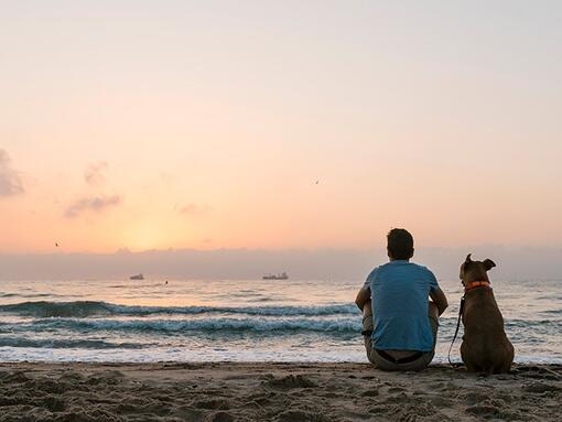 Mann und Hund beobachten einen Sonnenuntergang