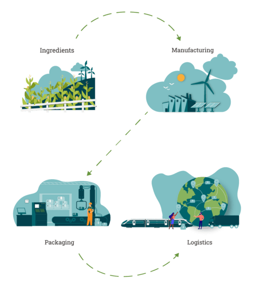 CARBON FOOTPRINT STEPS