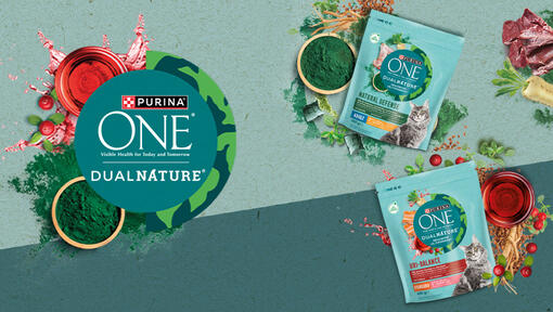 Purina One