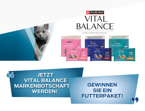 Vital Balance Gewinnspiel Markenbotschafter