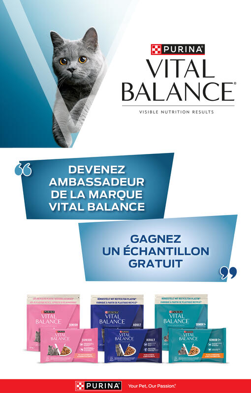Vital Balance concours