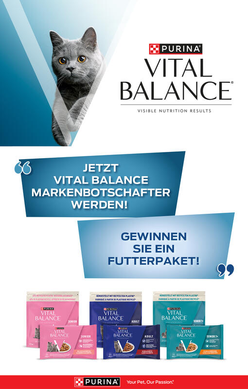 Vital Balance