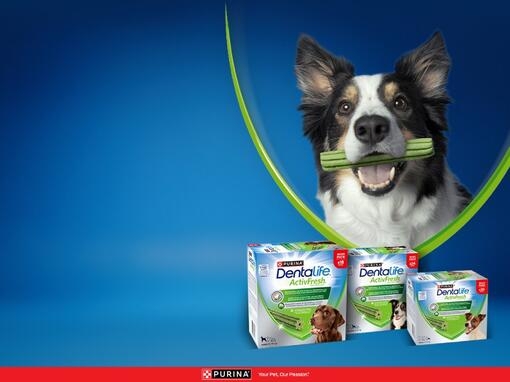 Dentalife