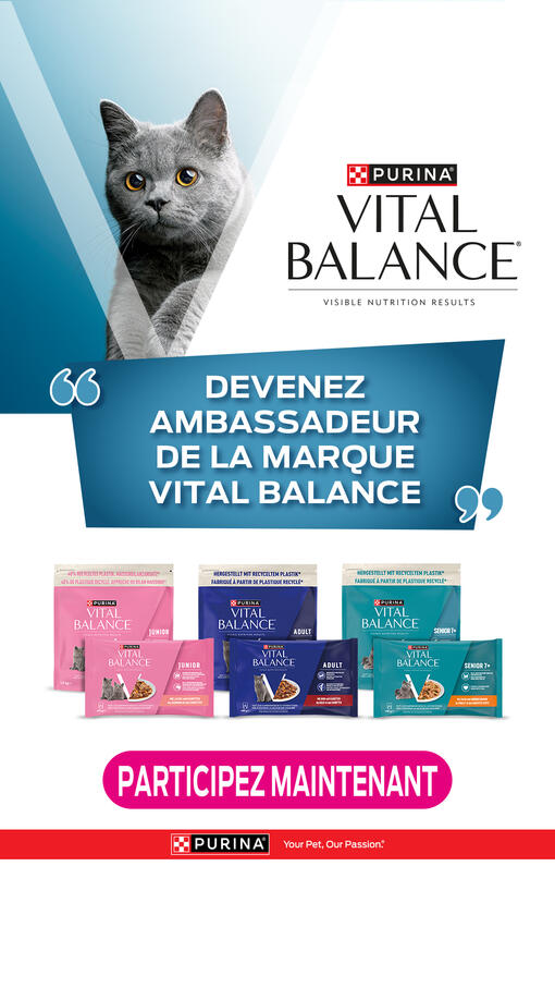 Vital Balance Concours