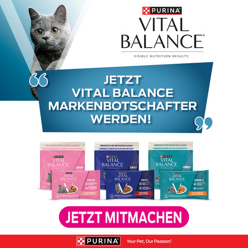 Vital Balance GEWINNSPIEL
