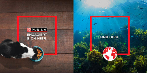 PURINA EUROPA'S PROGRAMM ZUR REGENERATION VON MEERESLEBENSRÄUMEN