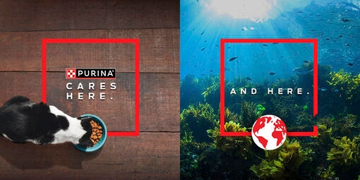 PURINA PROGRAMMEEUROPÉEN DE RÉGÉNÉRATION DES HABITATS MARINS