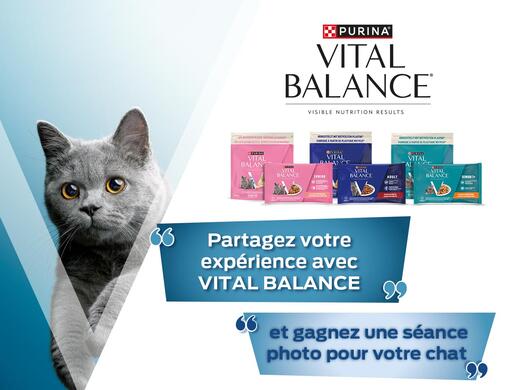 vital balance photo seance