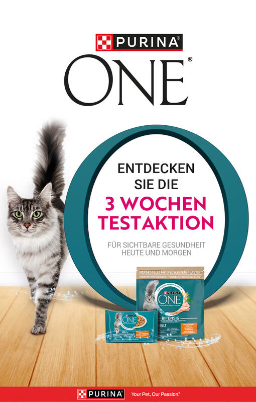 one 3 wochen testaktion