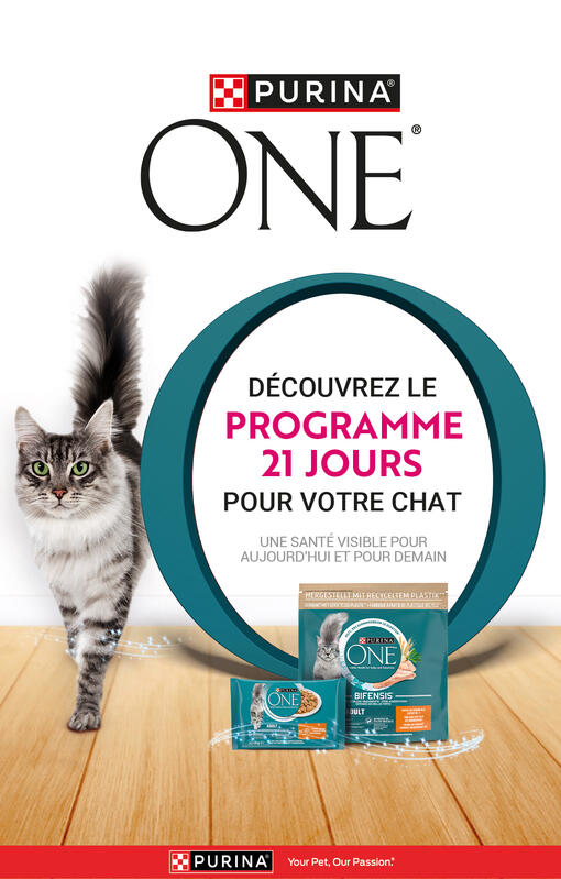 one 21 jours programme