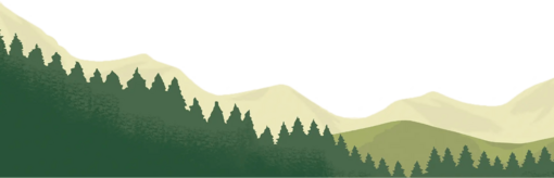 sapins.png