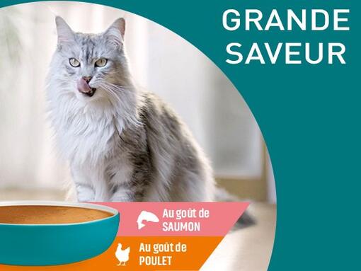 PURINA® ONE® HYDRALIFE™