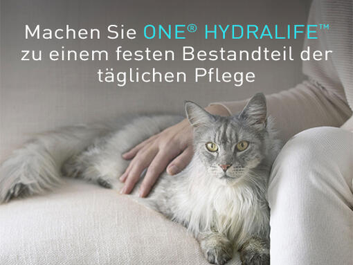 Hydratation Hydralife katzen PURINA