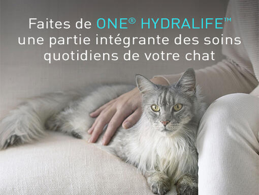 Hydratation Hydralife chat PURINA