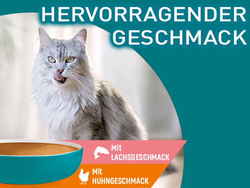 PURINA® ONE® HYDRALIFE™