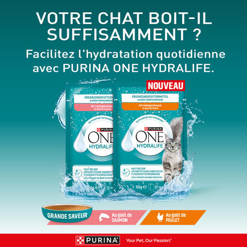 PURINA® ONE® HYDRALIFE™