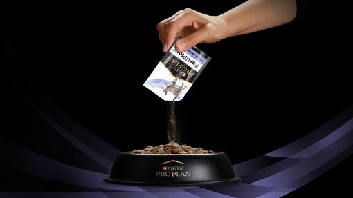 Complément probiotique facile à ajouter à la nourriture